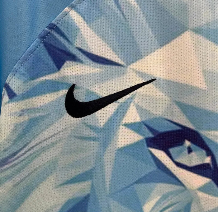 Netherlands "Ice Lion" Limited Jersey