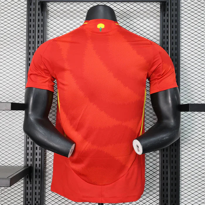 Spain 2024/2025 Home Kit